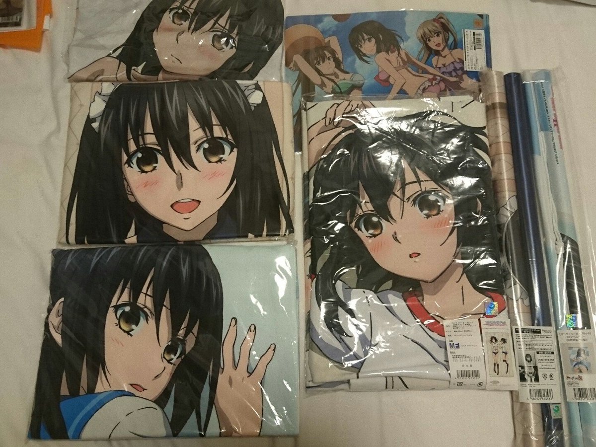 本日コミケ1日目の戦利品。タペストリ×2(メディコス、カーテン魂)添い寝シーツ(エムズファクトリー)クリアファイル、タオ 本日コミケ1日目の戦利品。タペストリ×2(メディコス、カーテン魂)添い寝シーツ(エムズファクトリー)クリアファイル、タオ