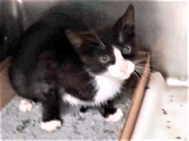 RT @URGENTPODR: JUST ADDED! DAX  - A1120191 
Follow me here for updates and status: https://t.co/fge5AbCmHc https://t.co/sUR1y1497Y
