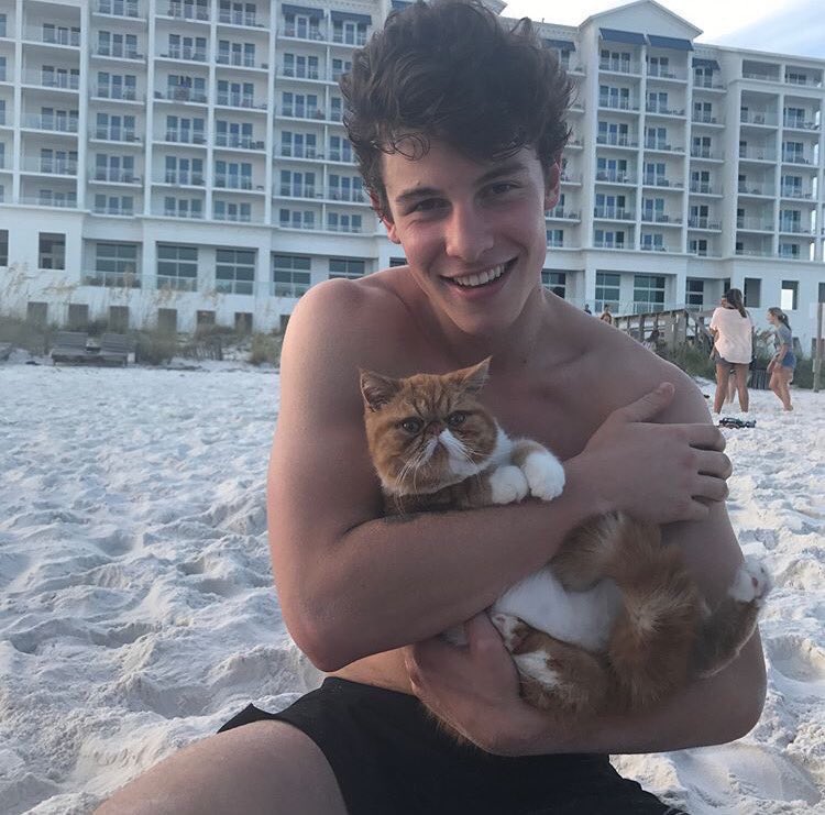 Shawn