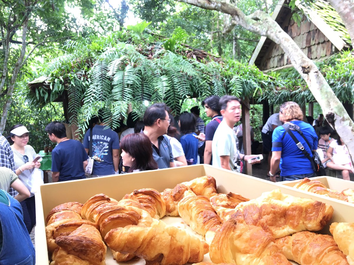 #reviewchiangmai