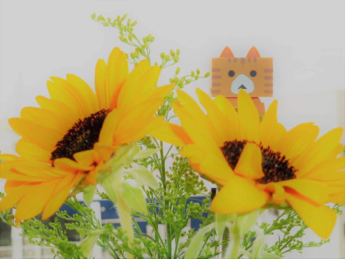 薄日が差してきました☀夏らしい天気はいつになるのかな🌺よい週末をお過ごしください🍀Have a nice weekend 薄日が差してきました☀夏らしい天気はいつになるのかな🌺よい週末をお過ごしください🍀Have a nice weekend