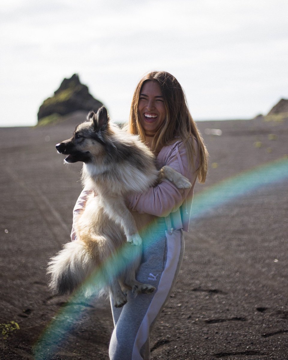 Hund