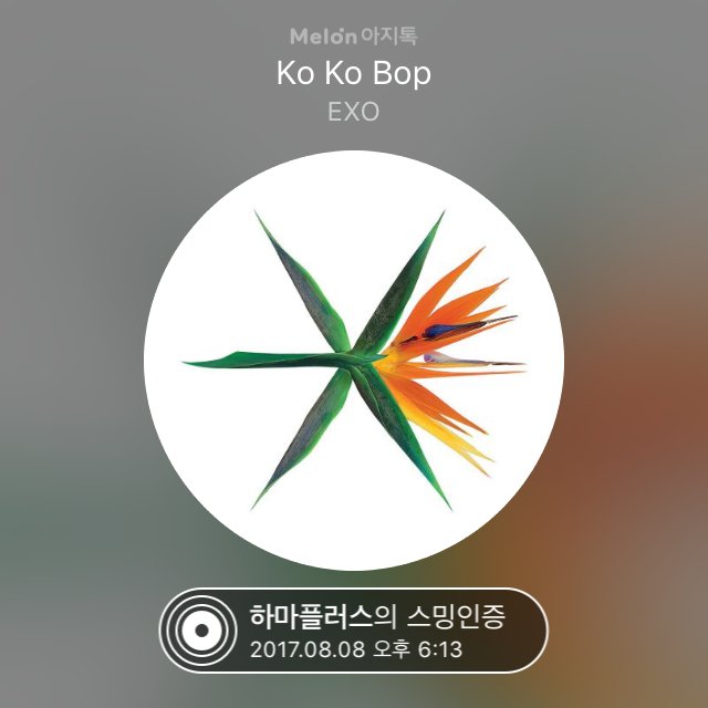 Ko Ko Bop EXO 엑소 코코밥 스밍 멜론 벅스 hippoclass03