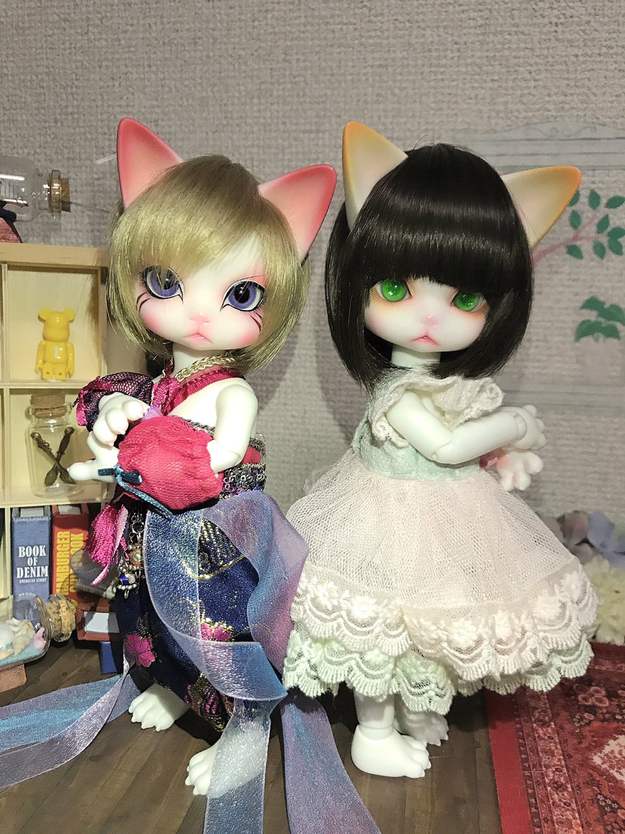 今日は世界猫の日だそうで!急いで撮った!喜媚「世界を統べるのは!」お嬢「わたしたちにゃー!」にゃんぼー「ฅ•ω•ฅニャー 今日は世界猫の日だそうで!急いで撮った!喜媚「世界を統べるのは!」お嬢「わたしたちにゃー!」にゃんぼー「ฅ•ω•ฅニャー