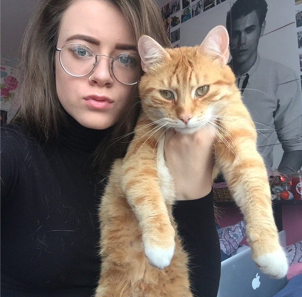 #InternationalCatDay