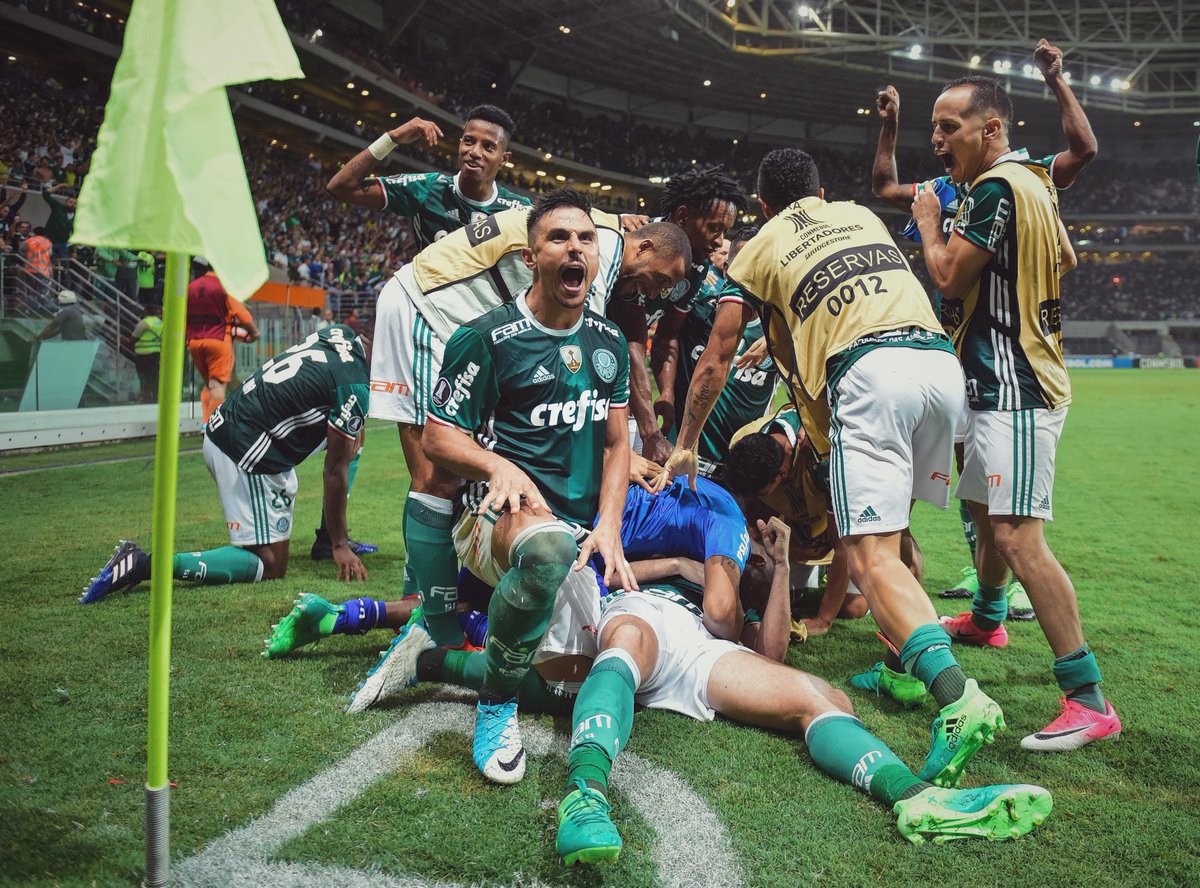 HOJE É DIA DE PALMEIRAS