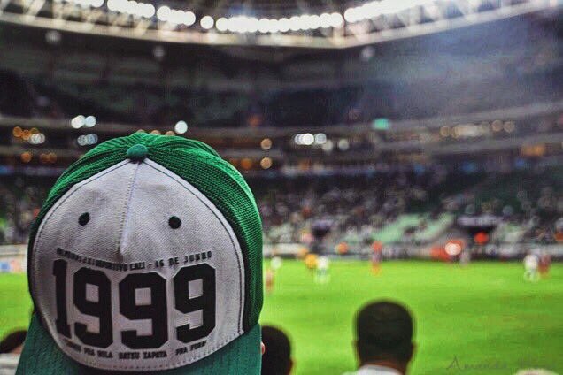 HOJE É DIA DE PALMEIRAS