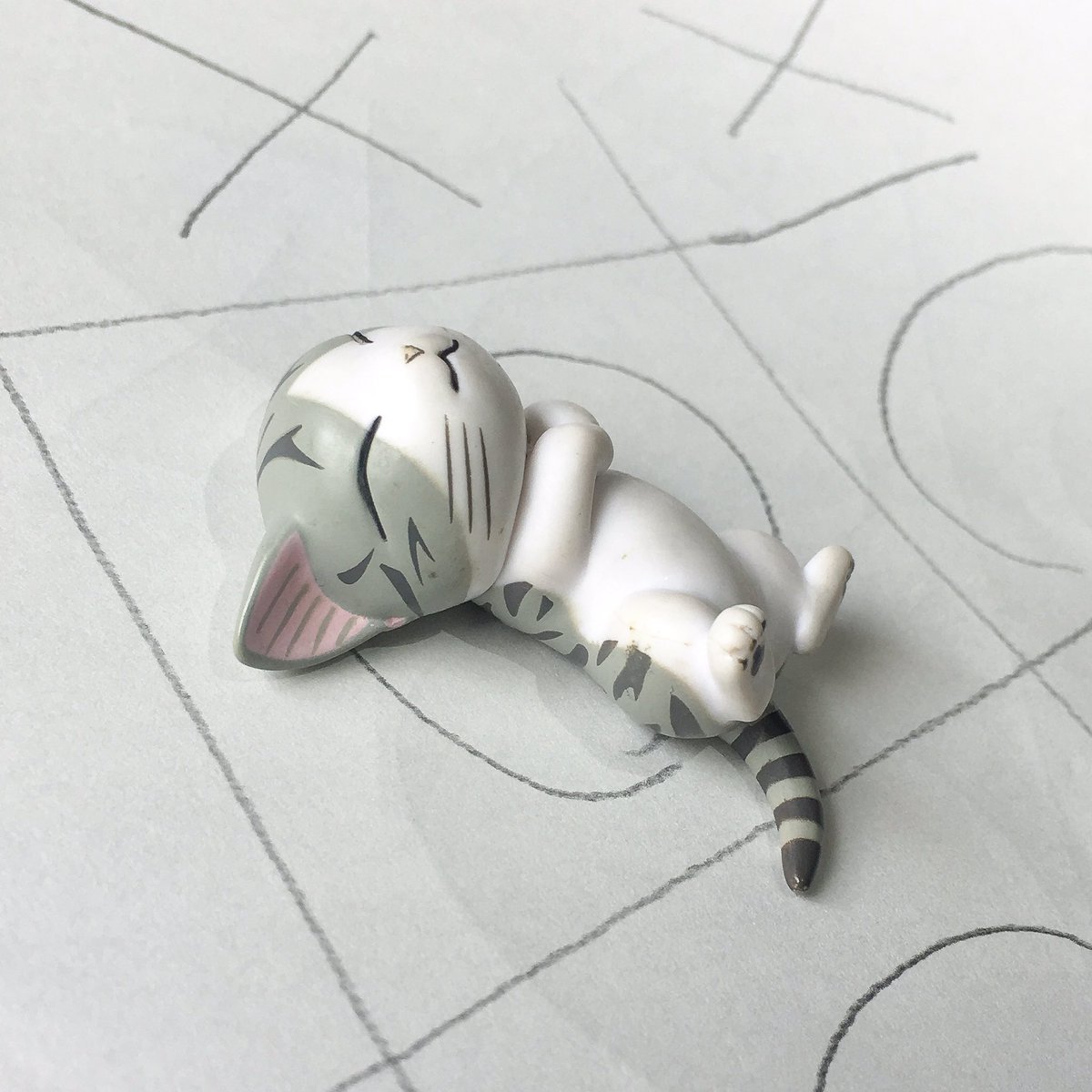 みゃ〜…マルをみうと なかに はいっちゃうの なんれら〜?#こねこのチー #チーズスイートホーム #チー #chissw みゃ〜…マルをみうと なかに はいっちゃうの なんれら〜?#こねこのチー #チーズスイートホーム #チー #chissw