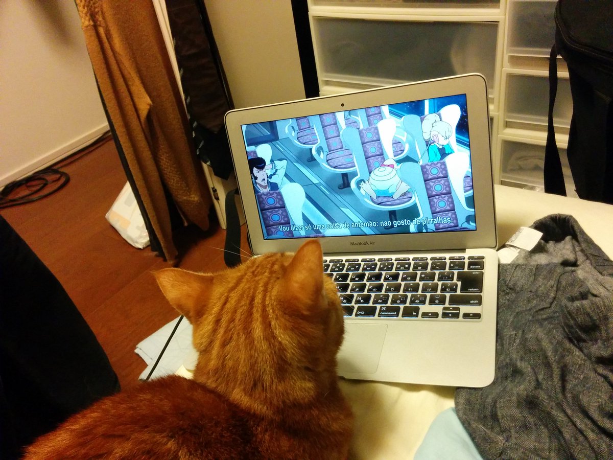 スペースダンディを見る猫 スペースダンディを見る猫