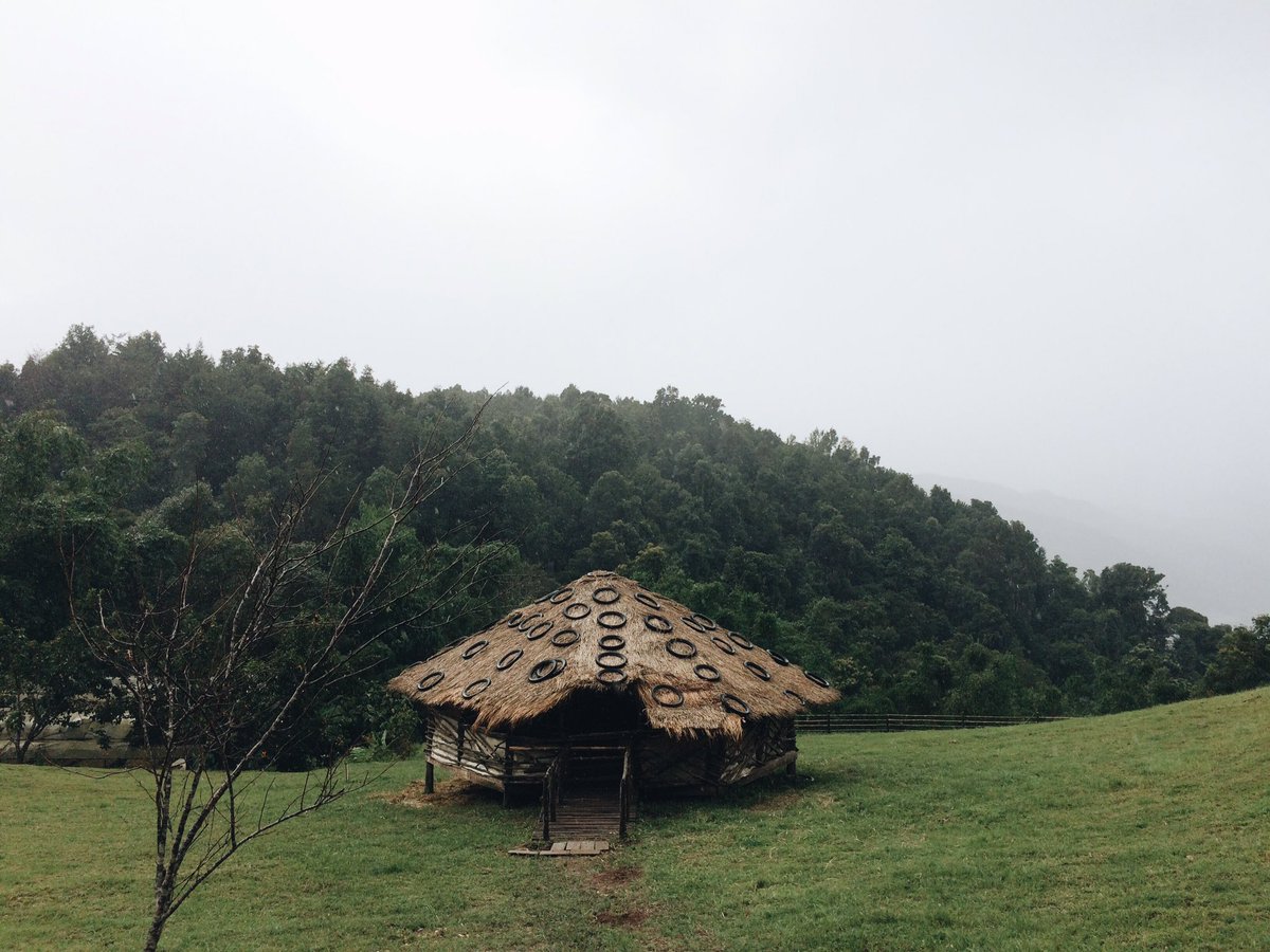 #reviewchiangmai