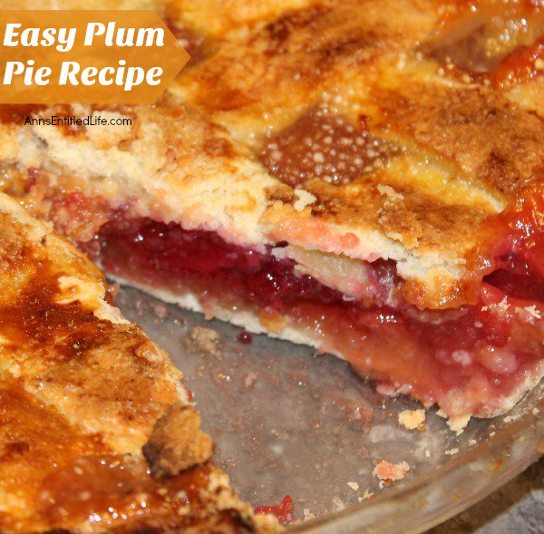 Easy Plum Pie #Recipe https://t.co/Zl4QF3xtD3 #recipeoftheday #summer #pierecipe https://t.co/y3PvuGoMpr