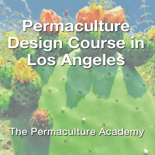 Interested in #permaculture? Check out this course in #LA ???? https://t.co/T9iHMJjxuZ https://t.co/etY2c0XPRK