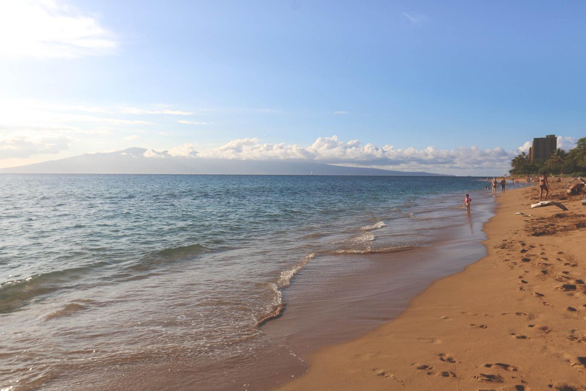 #maui