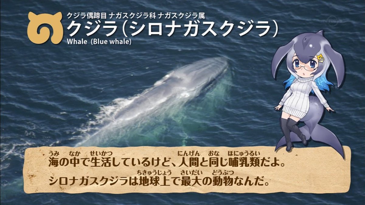 ナガスさん・・・ #yuyushiki ナガスさん・・・ #yuyushiki
