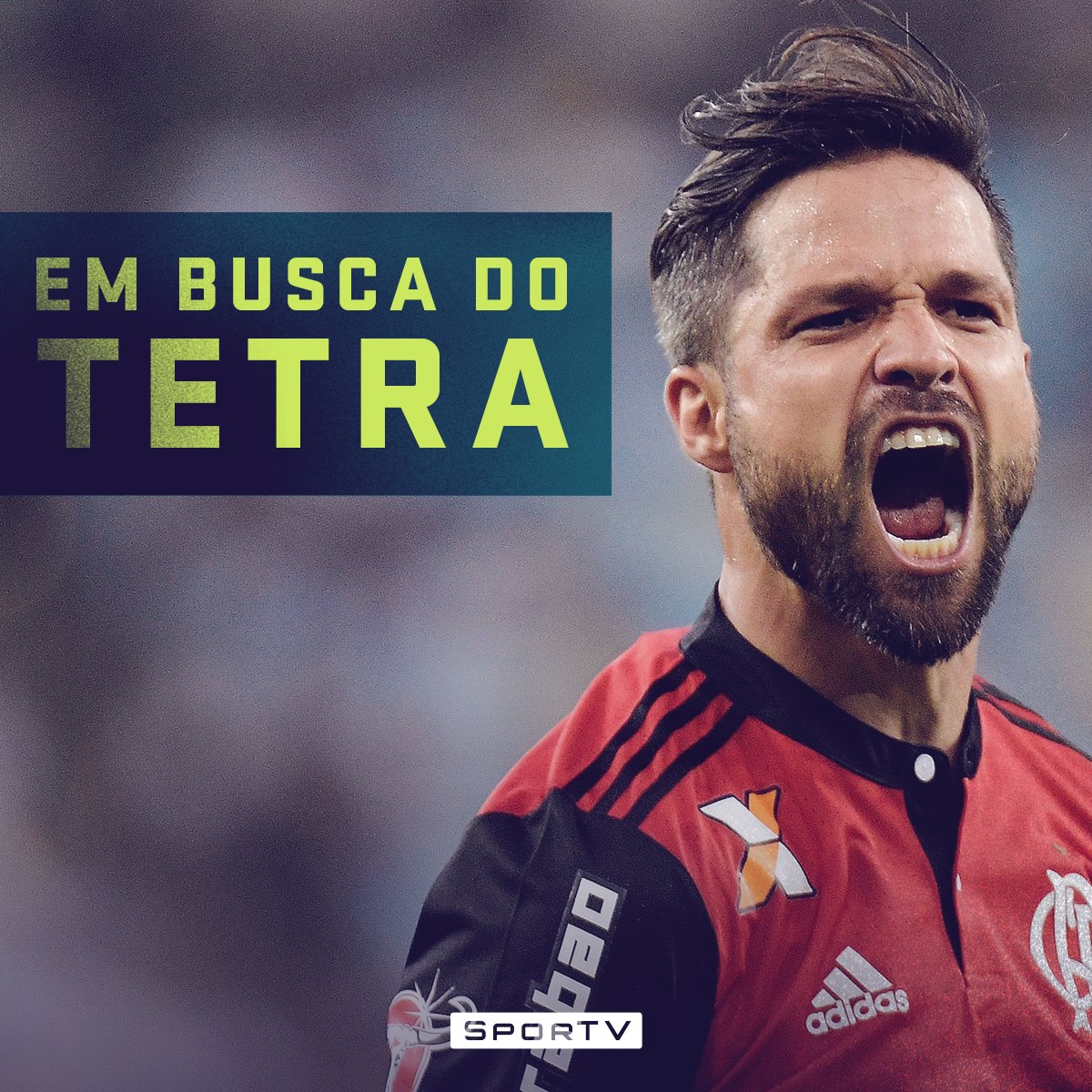 #BrasileiraoNoSporTV