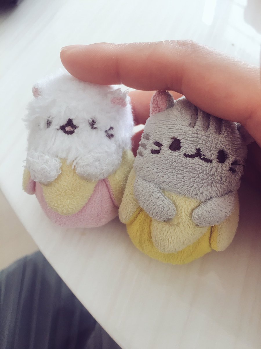天使が帰って行った。ベッドの隙間にこんな可愛いぬいぐるみ忘れてった。寂しい…すでに会いに行きたいw#ばなにゃ 天使が帰って行った。ベッドの隙間にこんな可愛いぬいぐるみ忘れてった。寂しい…すでに会いに行きたいw#ばなにゃ