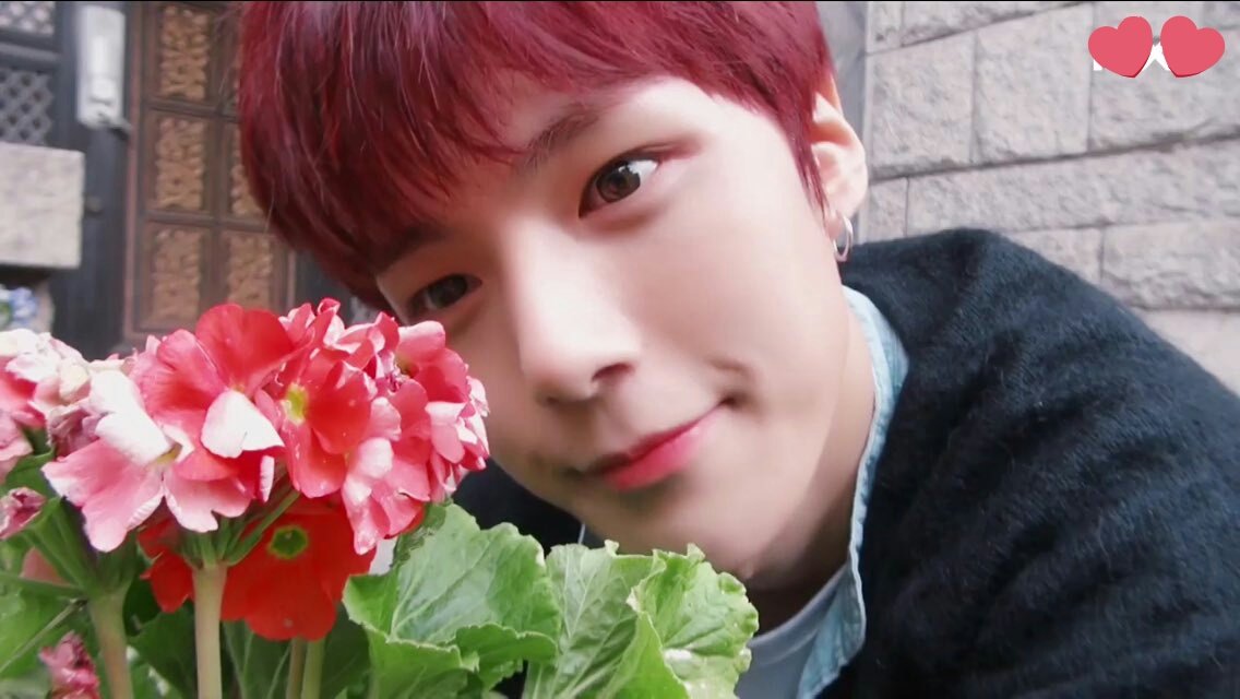 #monbebeselcaday