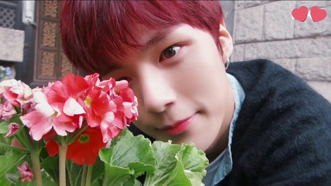 #monbebeselcaday