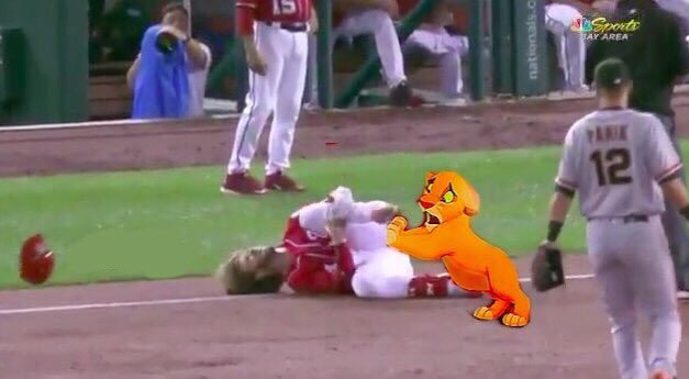 Bryce Harper