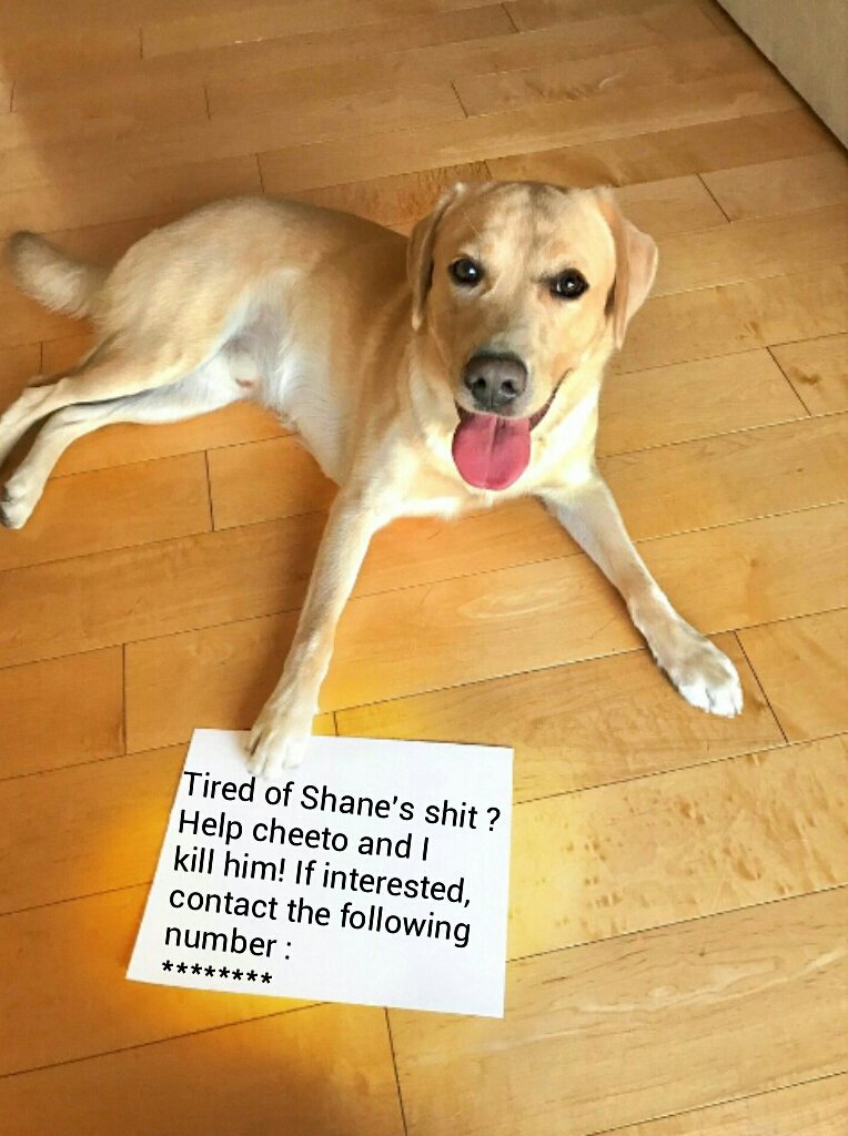 #shanepaper