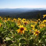 Scientists urge no changes to Cascade-Siskiyou Monument (Guest opinion) Scientists urge no changes to Cascade-Siskiyou Monument (Guest opinion)