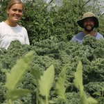 UM students grow, prepare and eat food from campus farm