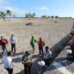 Chinese company arrives in French Polynesia for launch of fish farm