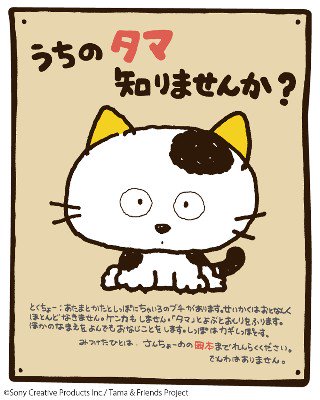 【ヴィレッジヴァンガード】「うちのタマ知りませんか?」1983年デビュー当時の絵柄でグッズ化! 【ヴィレッジヴァンガード】「うちのタマ知りませんか?」1983年デビュー当時の絵柄でグッズ化!
