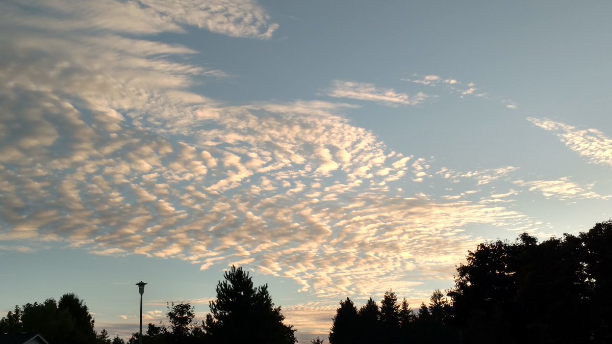 #vanwa