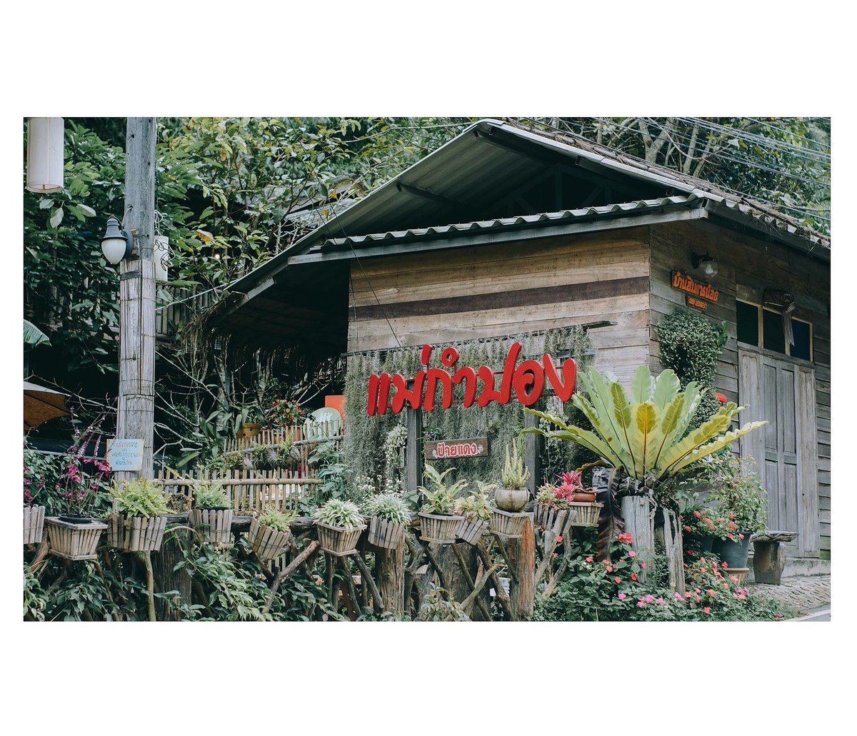#reviewchiangmai