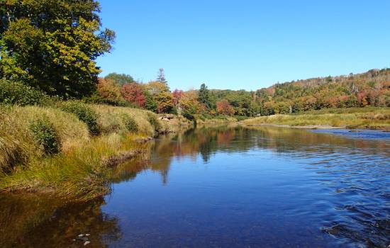 Critical habitat for endangered species along Nova Scotia river now protected