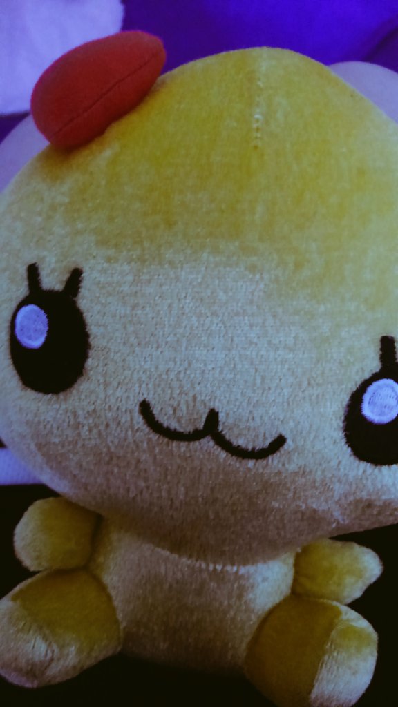 しずくちゃんが、午前9時頃をお知らせしますヽ(´▽`)/ しずくちゃんが、午前9時頃をお知らせしますヽ(´▽`)/