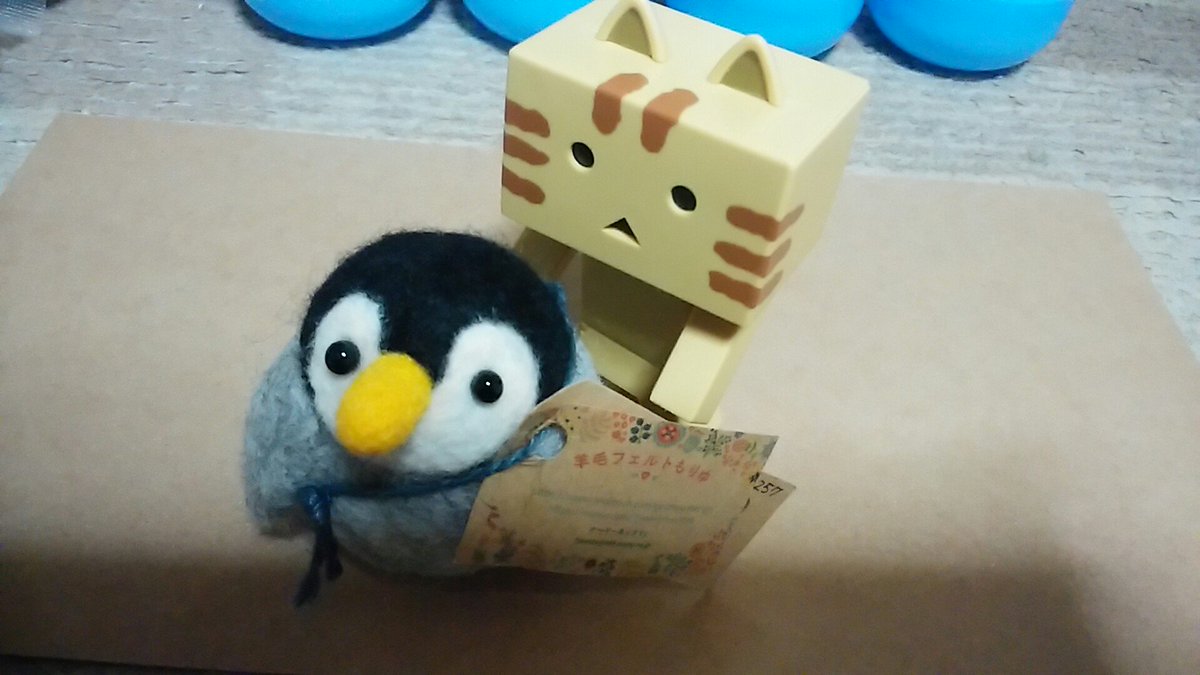 にゃんぼー #うめだどうぶつえん でラブリーなペンギン🐧さんお迎えする。羊毛フェルトもりゆさんのペンギン🐧さん。コロコロ にゃんぼー #うめだどうぶつえん でラブリーなペンギン🐧さんお迎えする。羊毛フェルトもりゆさんのペンギン🐧さん。コロコロ
