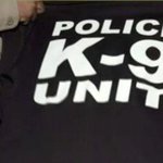 Homeless man tackles carjacking suspect who was impersonating a police officer, authorities say Homeless man tackles carjacking suspect who was impersonating a police officer, authorities say