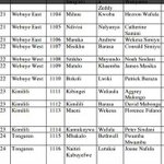 Winners puzzled after IEBC publishes erroneous list of Members of County Assembly