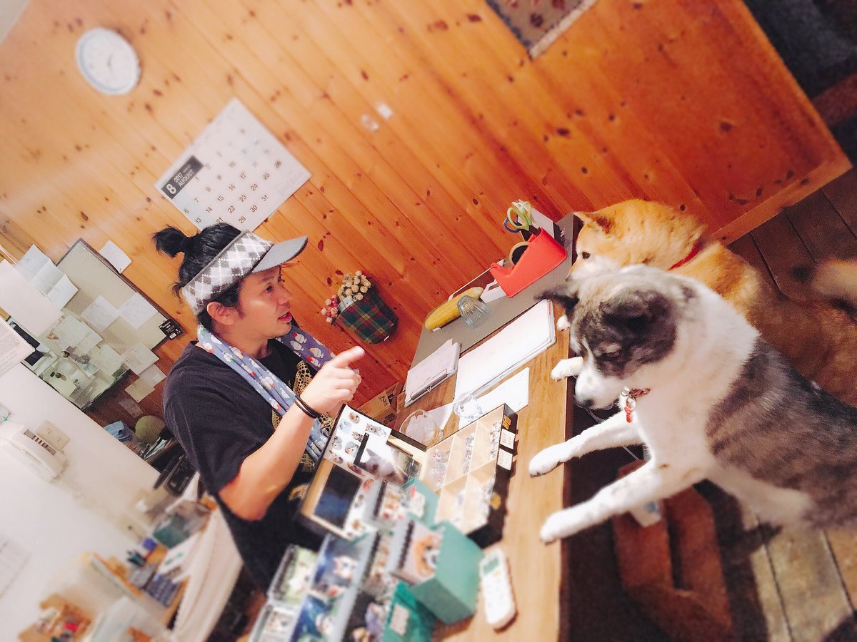 ムーコがすったげめんこかったです。Blog更新★...#ガラス工房 #VETRO #ムーコ #秋田市おすすめ #看板犬 ムーコがすったげめんこかったです。Blog更新★...#ガラス工房 #VETRO #ムーコ #秋田市おすすめ #看板犬