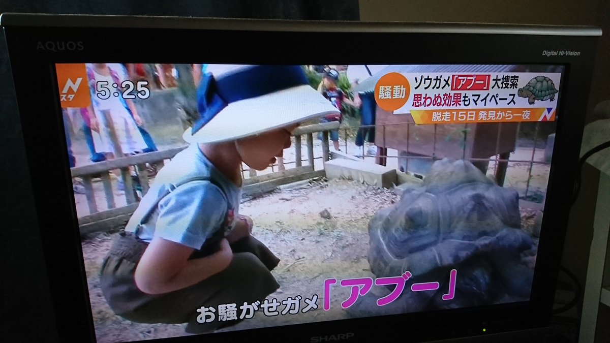 艦これしてるときに、TVつけてたら、名前が聞こえたので、阿武隈ちゃんのことかと思った。共感する人リツィート!! 艦これしてるときに、TVつけてたら、名前が聞こえたので、阿武隈ちゃんのことかと思った。共感する人リツィート!!