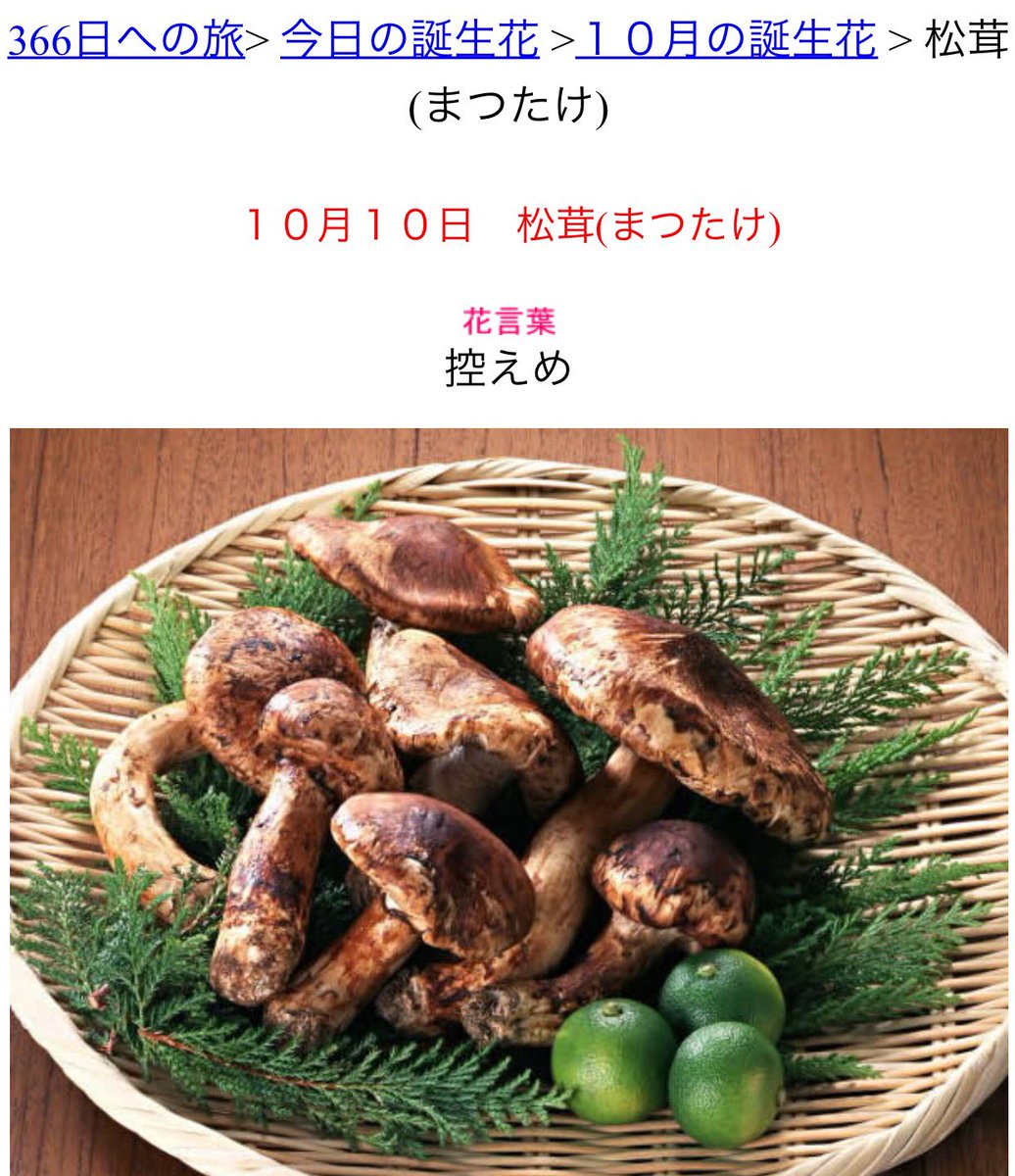 皆さま!!モブサイコ100の師匠こと霊幻新隆の誕生日は10月10日です!!!10月10日の誕生花は!!!!まつたけです! 皆さま!!モブサイコ100の師匠こと霊幻新隆の誕生日は10月10日です!!!10月10日の誕生花は!!!!まつたけです!
