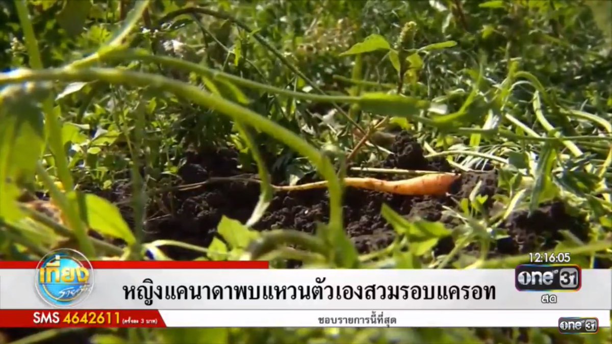 #เที่ยงรายวัน