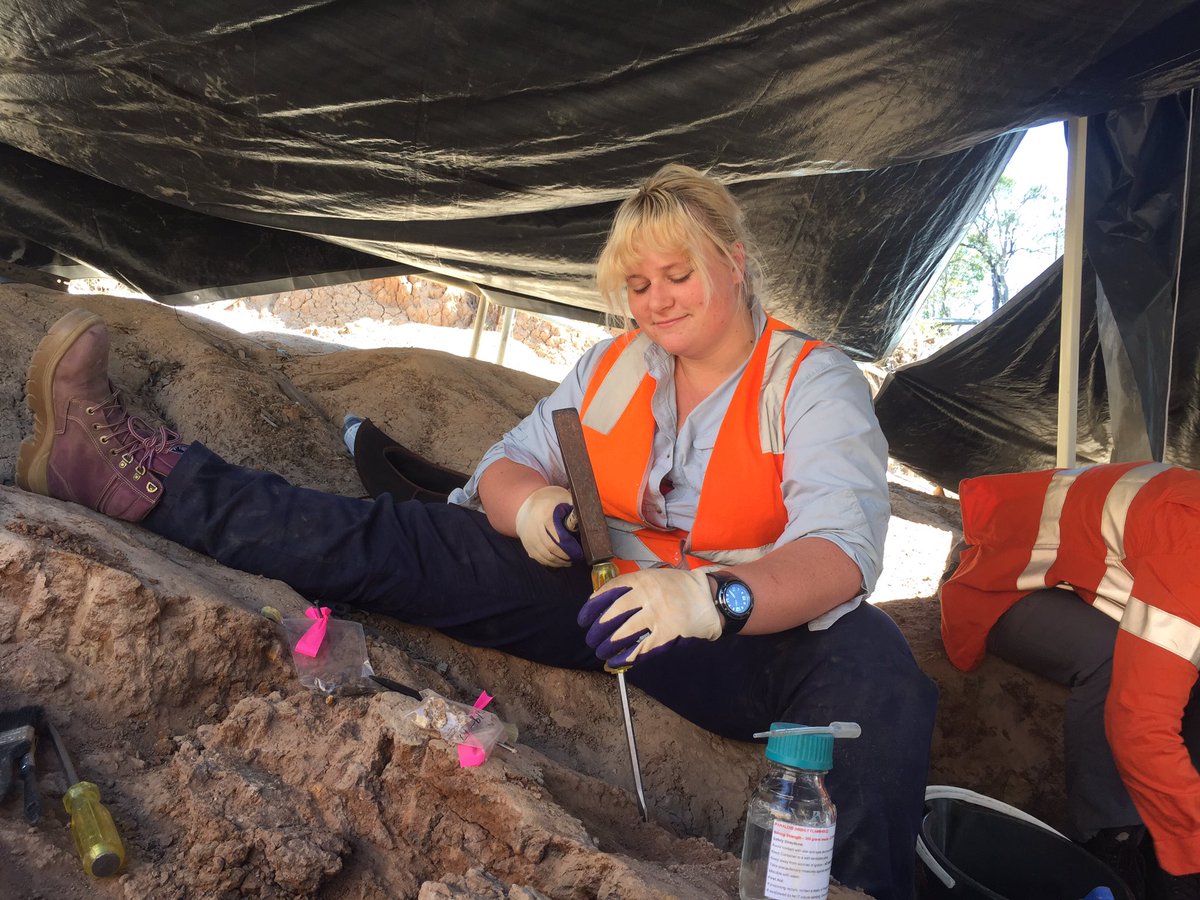 #FossilFriday