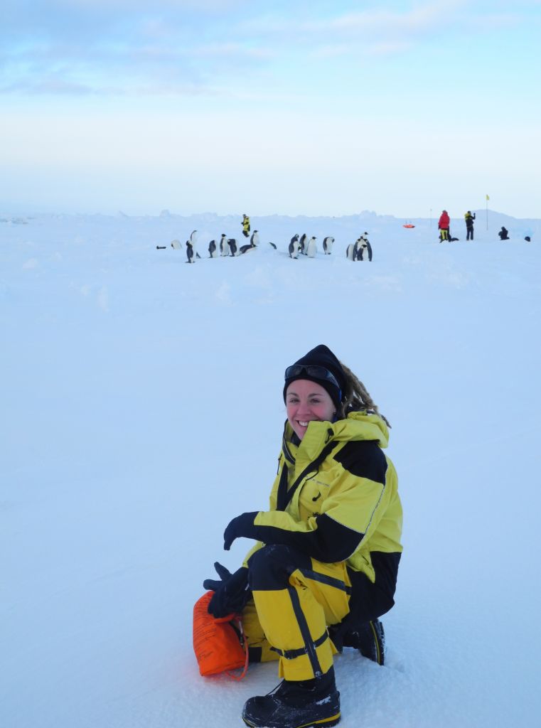 Ecosystems expert to compile collective climate change knowledge