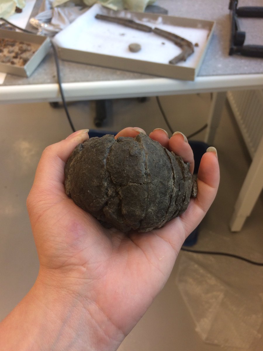 #FossilFriday