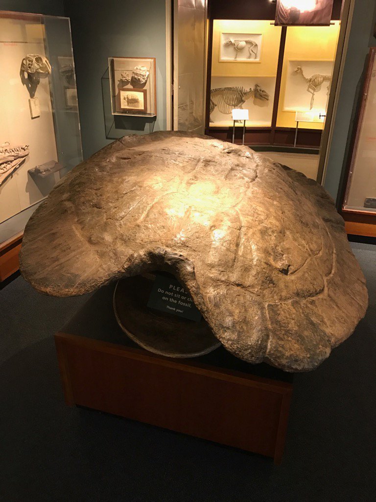 #FossilFriday