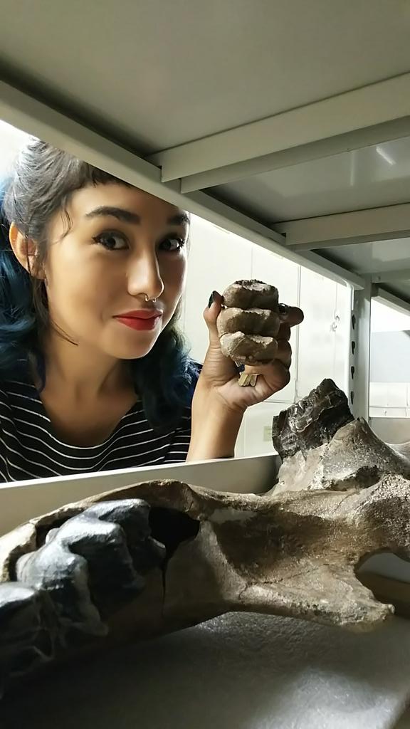 #FossilFriday