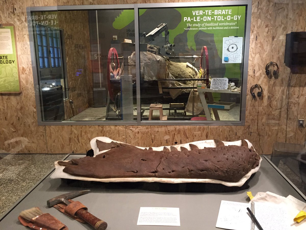 #FossilFriday