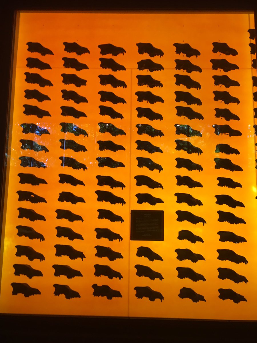 #FossilFriday