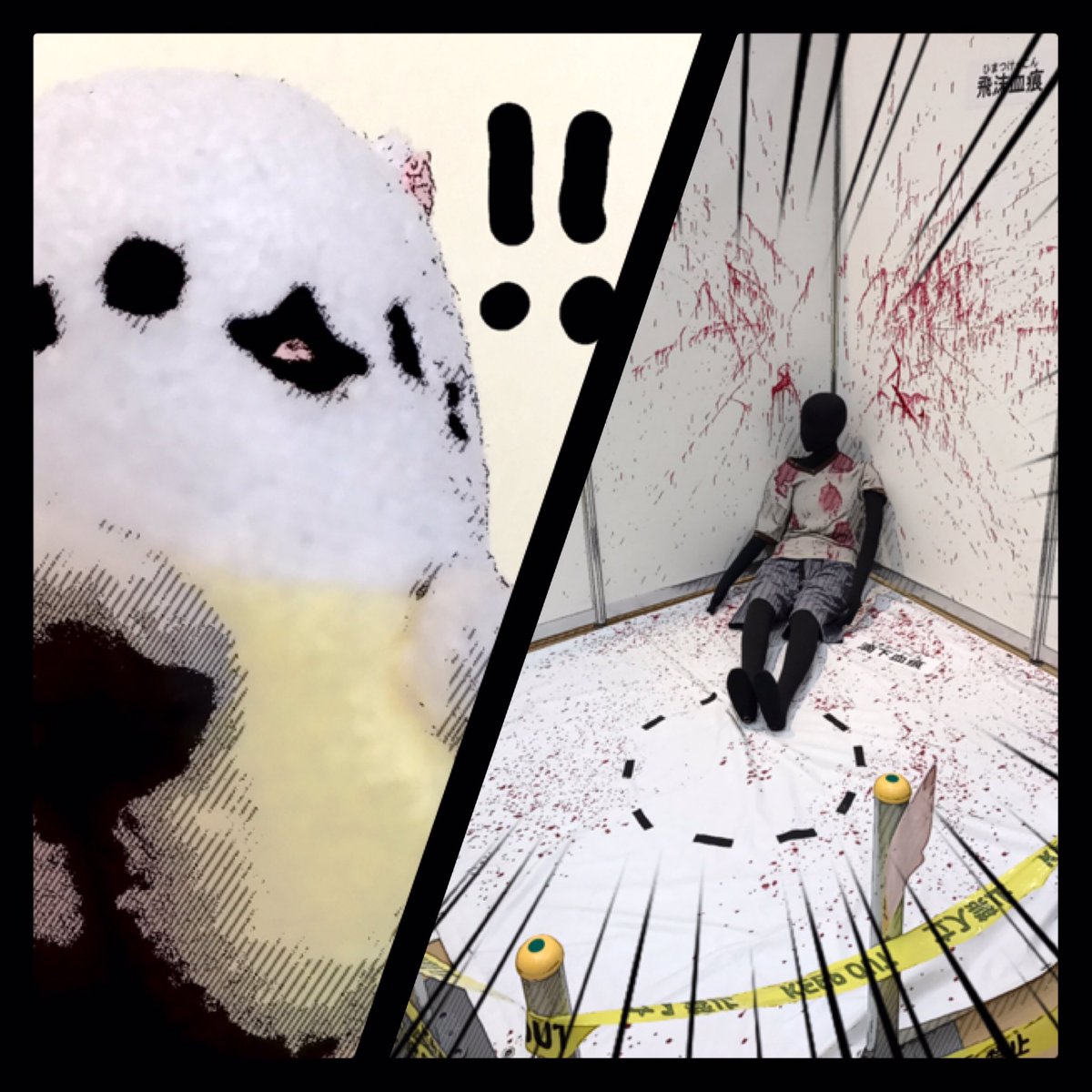 ばなにゃ、さすぺんすにゃ。(※科学捜査展の展示であり、実際の現場ではありません)(当たり前)#ばなにゃ ばなにゃ、さすぺんすにゃ。(※科学捜査展の展示であり、実際の現場ではありません)(当たり前)#ばなにゃ
