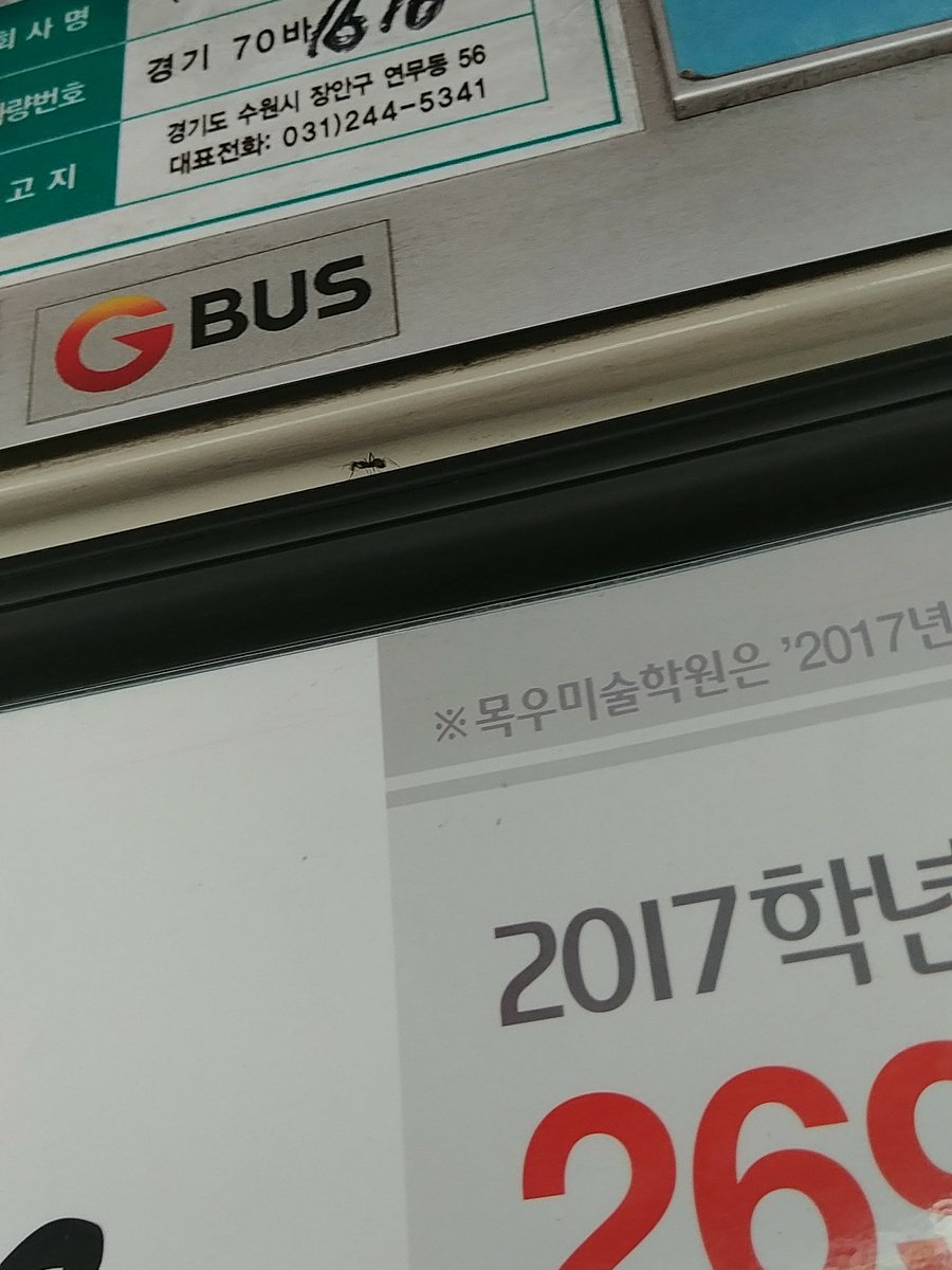 모야모야병 2병 병은 같이자자 경화 시달리다 복용하눈 jstrn312