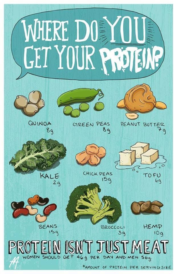 RT @MeatlessMonday: Protein isn't just meat. Try a #plantbased alternative this #MeatlessMonday. https://t.co/jkG0aDNsF8