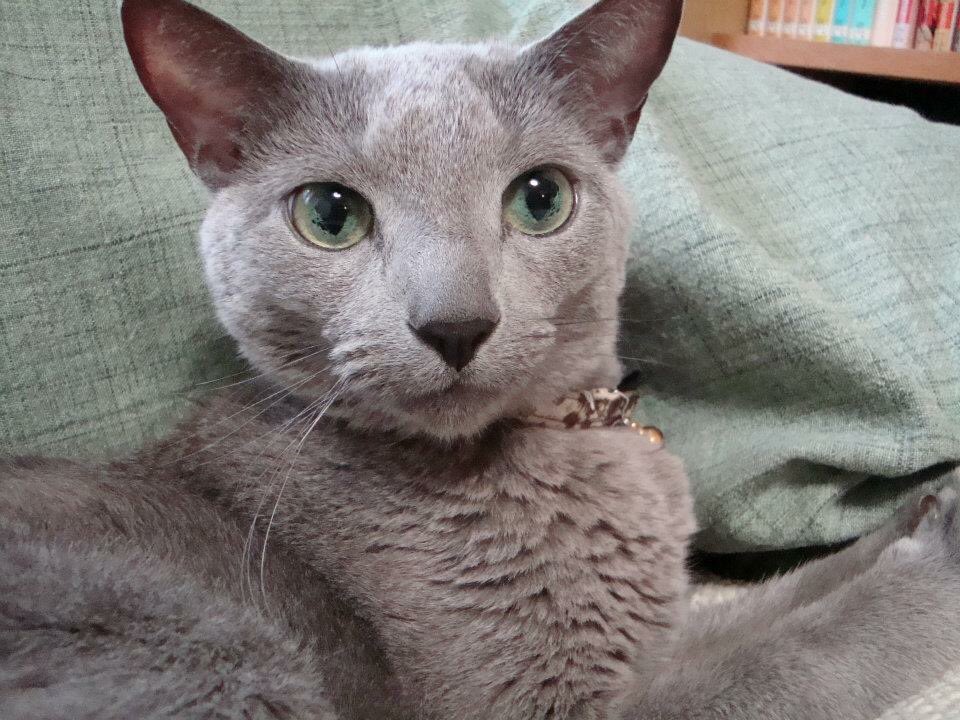 チャイカの昔の写真可愛い😌💕 チャイカの昔の写真可愛い😌💕